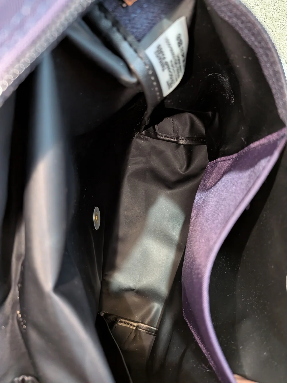 Purple Longchamp Le Pliage Backpack